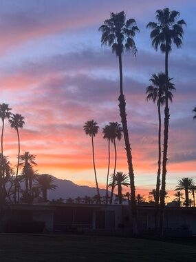 SHOP NOW Closet going on Vacation Hold 4/10 - 5/31